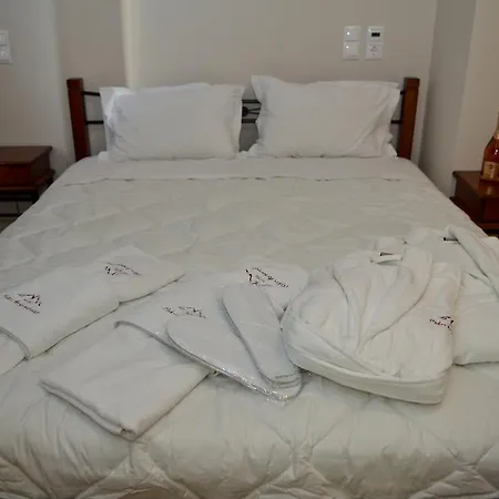 Hotel Mikri Archontissa Áno Vlasía