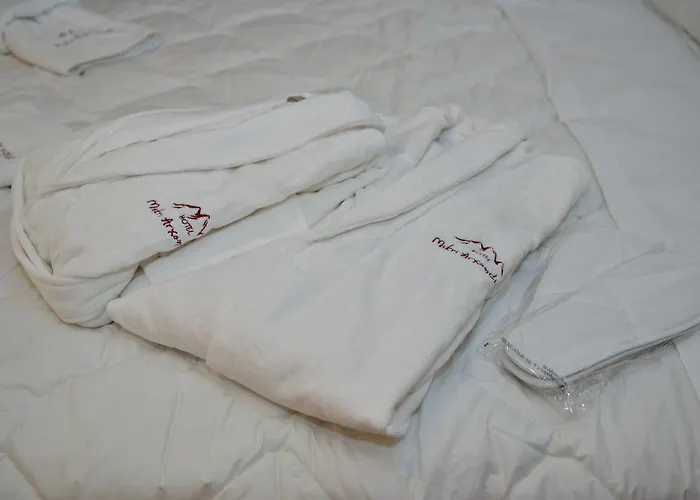 Mikri Archontissa Hotel Áno Vlasía